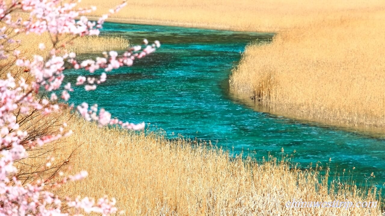 the Reed Lake Jiuzhaigou Valley