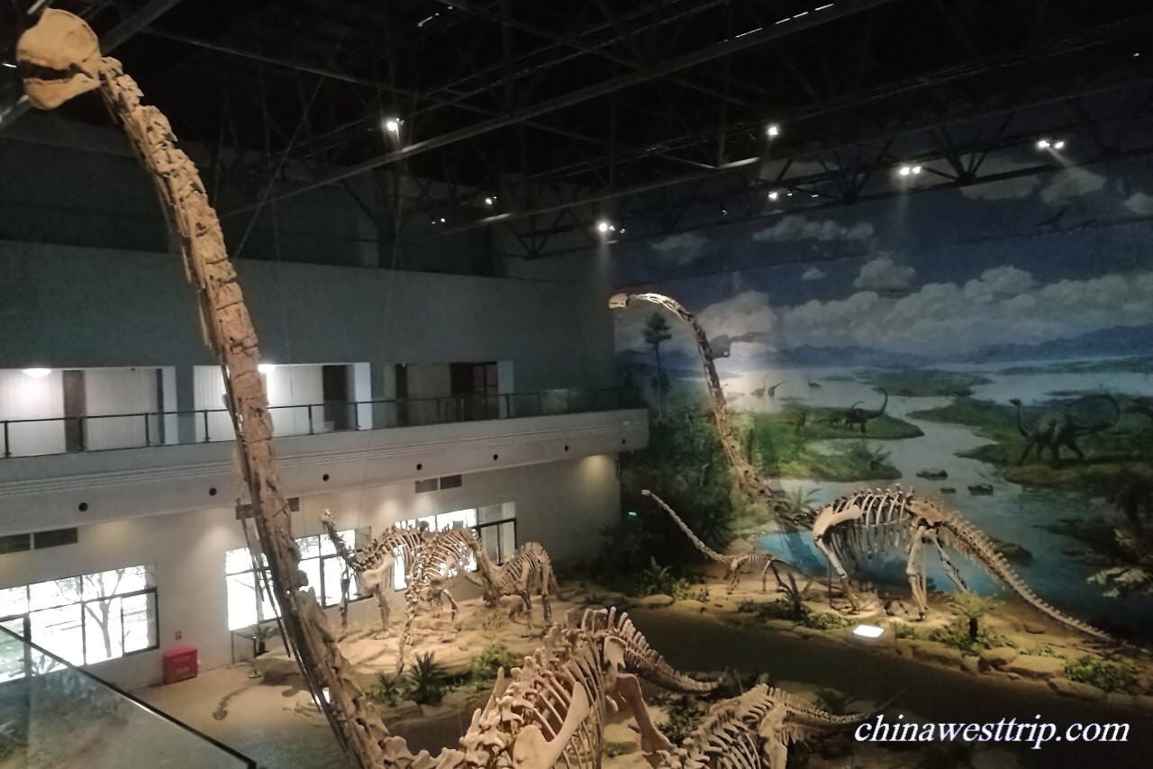 Zigong Dinosaur Museum