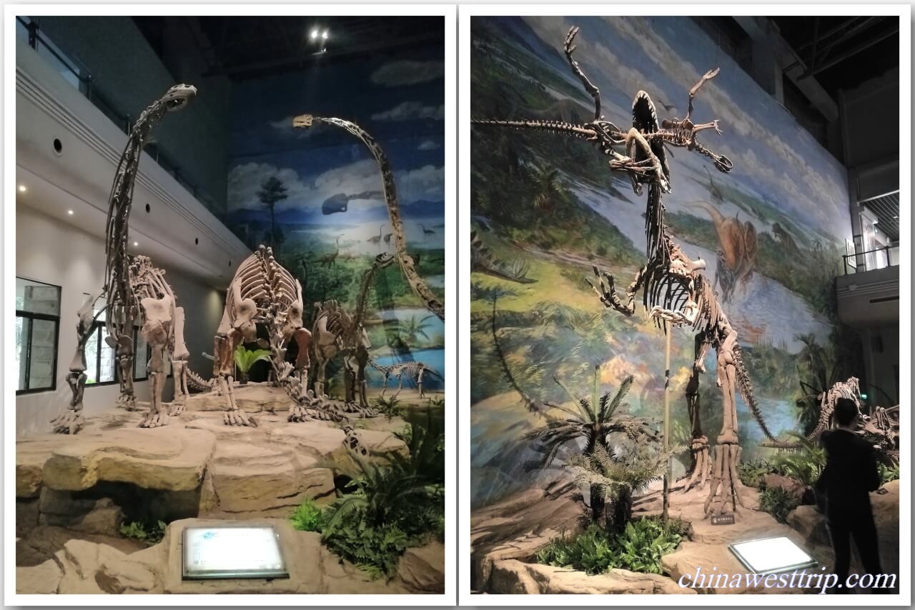 Zigong Dinosaur Museum