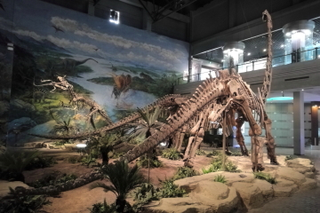 Zigong Dinosaur Museum