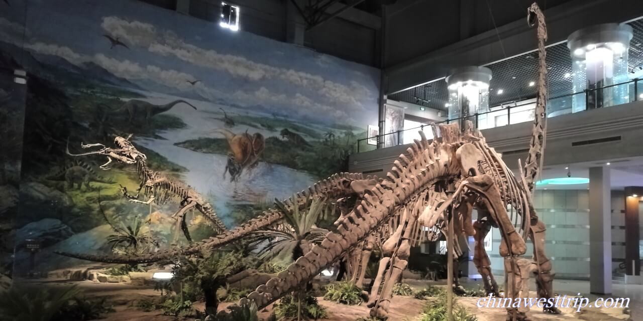 Zigong Dinosaur Museum001a.JPG