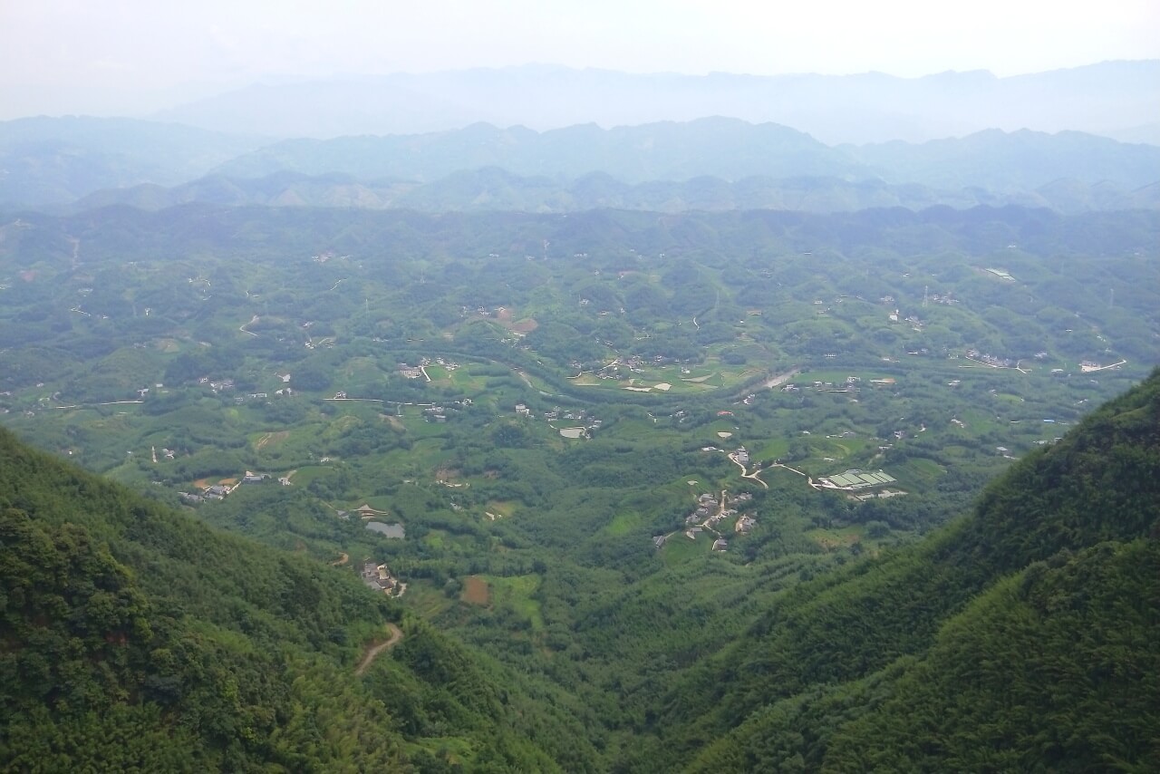 Shunan Bamboo Forest