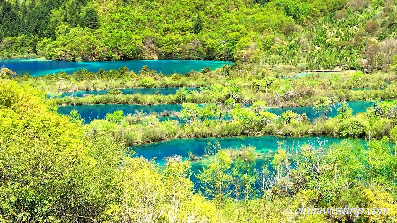 Jiuzhai Shuzheng Lakes.jpg