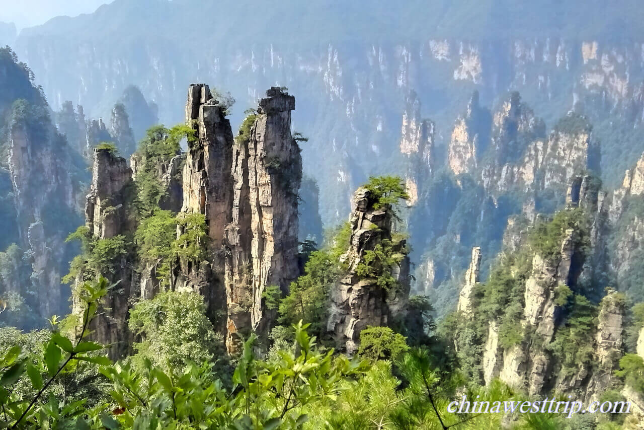 Tianzi Mountain