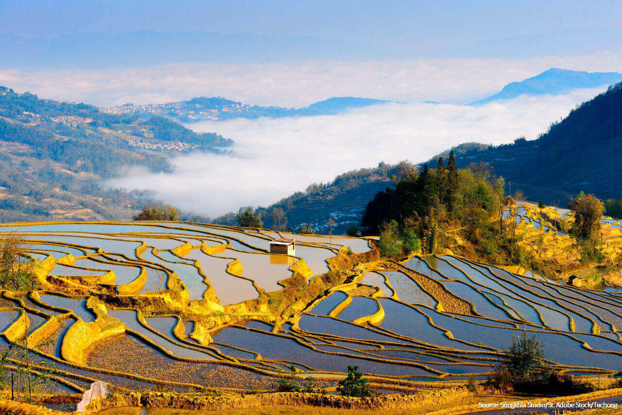 Yuanyang Rice Terraces