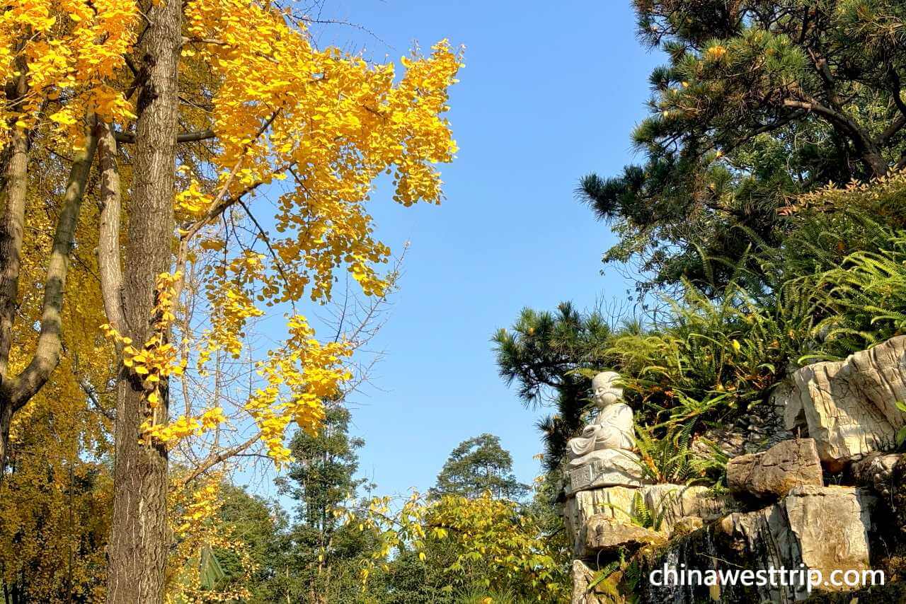 Baoguang Monastery's Garden
